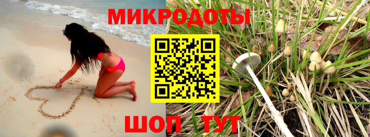 Псилоцибиновые грибы ЛСД Камышин