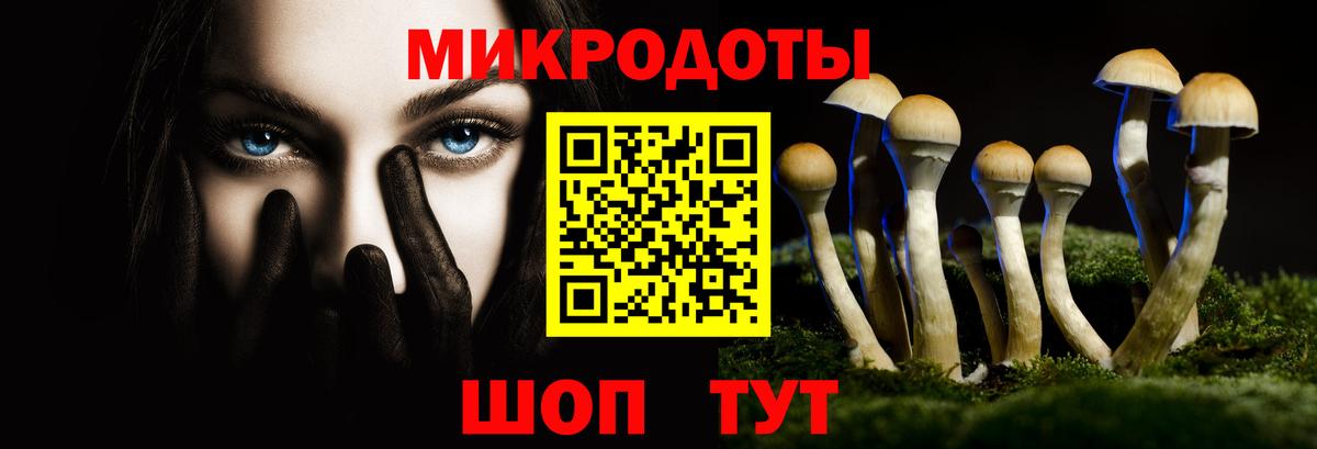 Псилоцибиновые грибы Psilocybine cubensis  Вход с VPN  Камышин 
